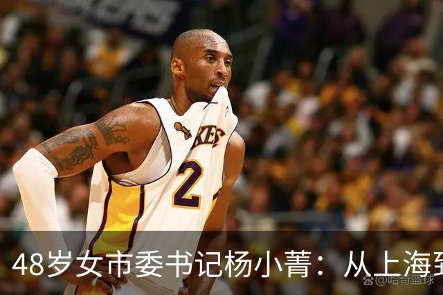48岁女市委书记杨小菁：从上海到许昌一把手，她如何一步步跨市任职的